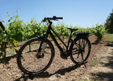 Sun-E-Bike, bike and V.A.E rental