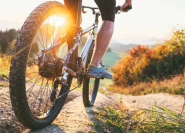 Electric bike and mountainbike rental - Face Sud