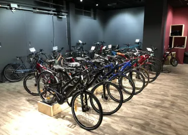 Bike rental and repair with Rhonavelo