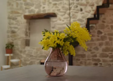 Gite le Patio