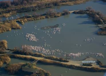 Ornithological park of Pont de Gau