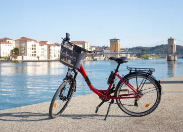 Bike rental