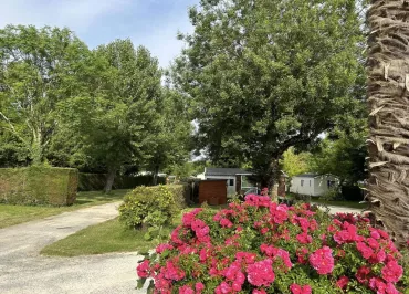 Camping L'Orée des Bois