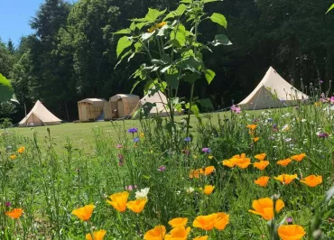 Au pré fleuri