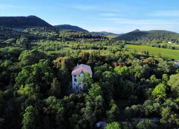 Le Domaine Daulone donne directement sur le parc des Dentelles de Montmirail et du Mont Ventoux