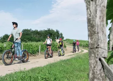 Bike Service activités