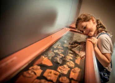 Découverte d'une vitrine/ Lezoux