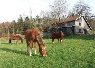 Gîte à la ferme aux moineaux - 25 personnes