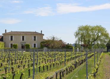 Château La Renommée