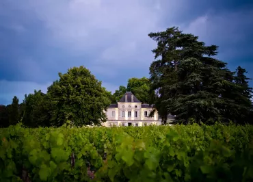Château Haut Nouchet