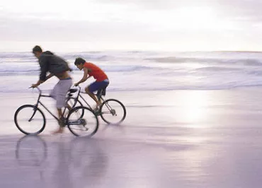 Ericycles