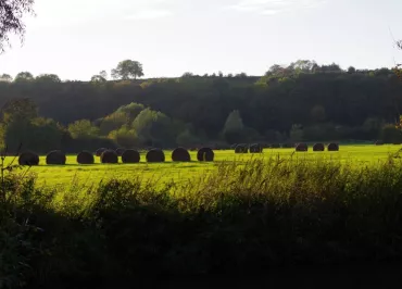 La Ferme de Courcelles, gite en pays de Thiérache