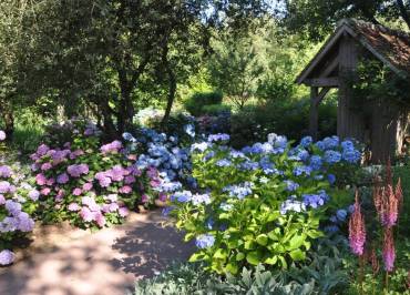 Jardin du Peintre André Van Beek