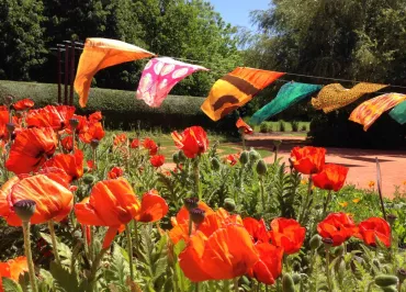 Mosaïc - Le jardin des cultures