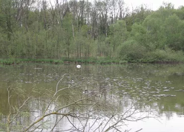 Petite Camargue Alsacienne