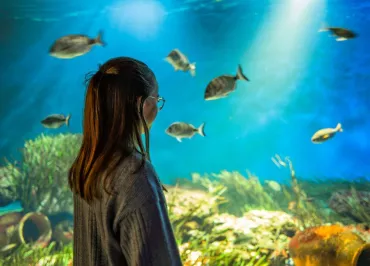 Aquarium de Vendée