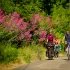 La Vélobuissonnière La Vélobuissonnière