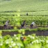 Tour de Bourgogne Fietsroute