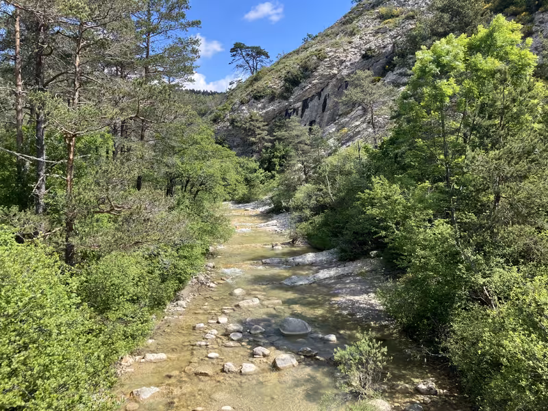 En forêt de Sallagriffon - GT des Préalpes d'Azur