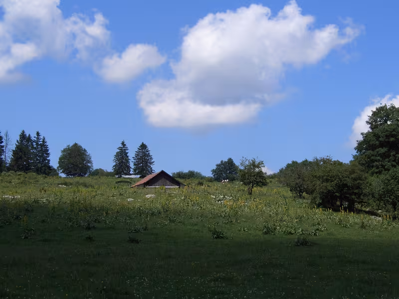 Vue sur les prairies