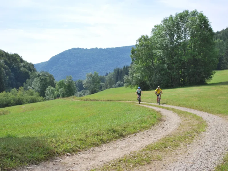 Le plateau de Retord à VTT