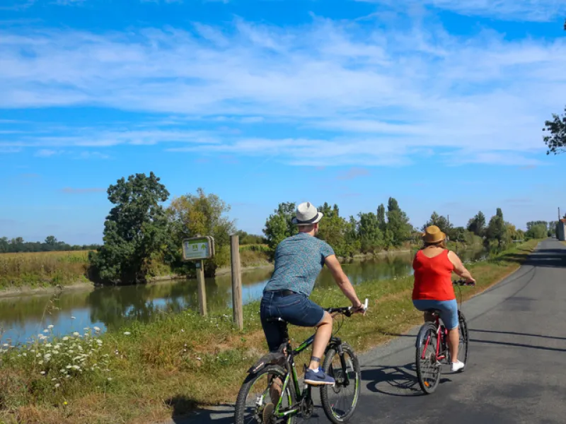 À vélo dans les marais près de Le Gué de Velluire