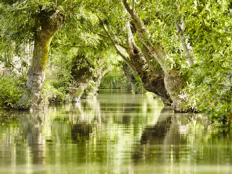 Le Marais poitevin, le marais mouillé