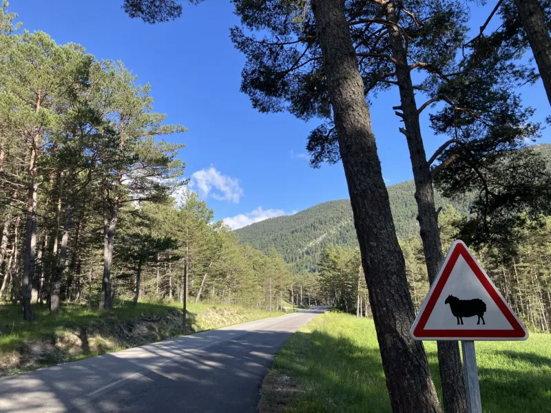 La D5 vers Aiglun - GT des Préalpes d'Azur