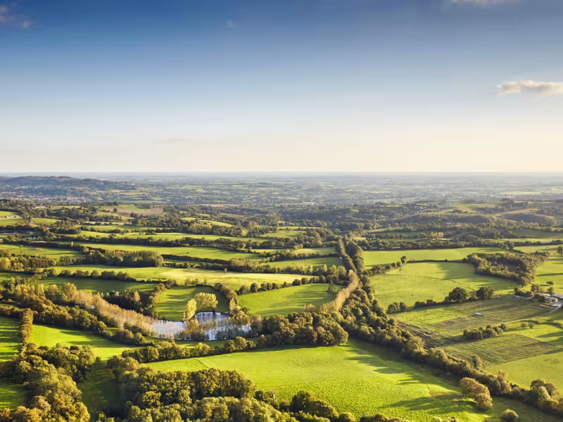 Bocage vendéen