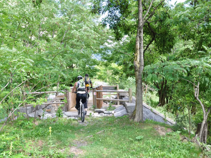 Sentier en forêt sur la Grande Traversée VTT L'Alpes Provence