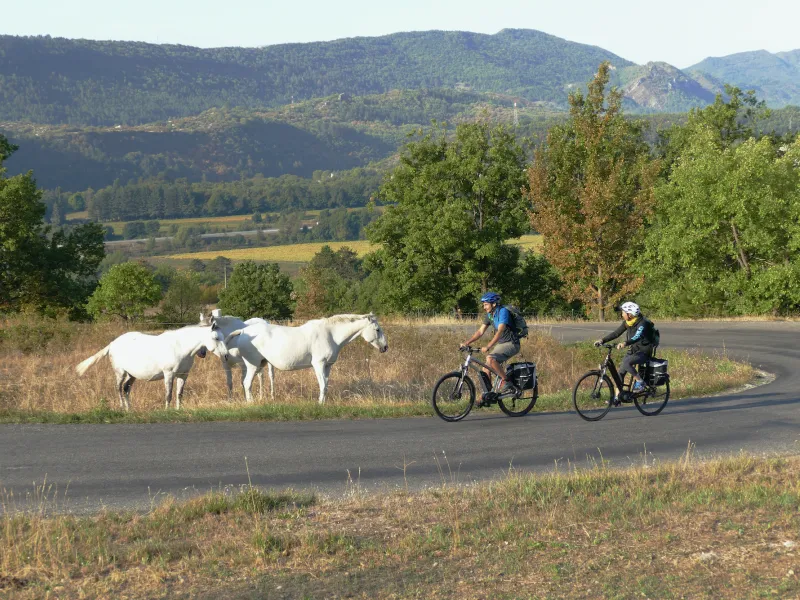 Au pied du Col de Fontbelle en sortant de Sisteron