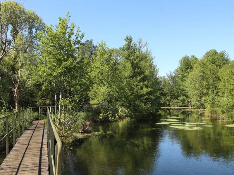 Passerelle de Conie