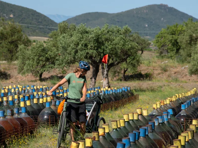 Visite chez un vigneron - Bombonnes