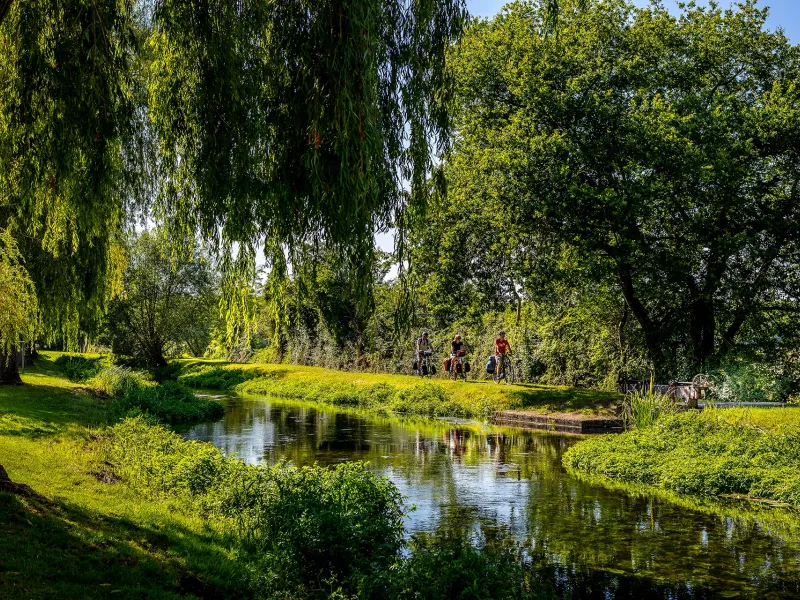 Bords de l'Indre à Saint-Genou
