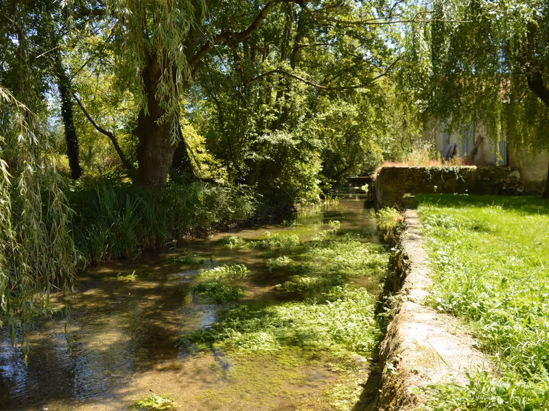 Rivière à Chérigné