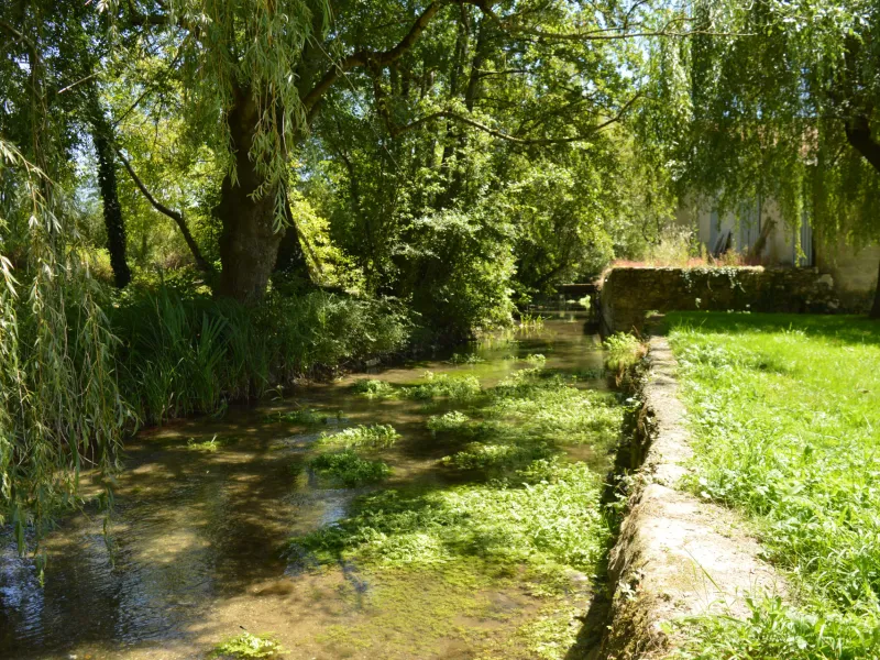 Rivière à Chérigné