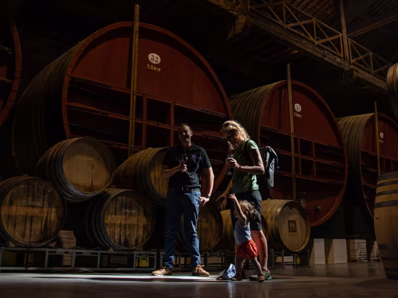 Visite chez un vigneron Pyrénéen