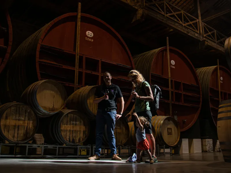 Visite chez un vigneron Pyrénéen