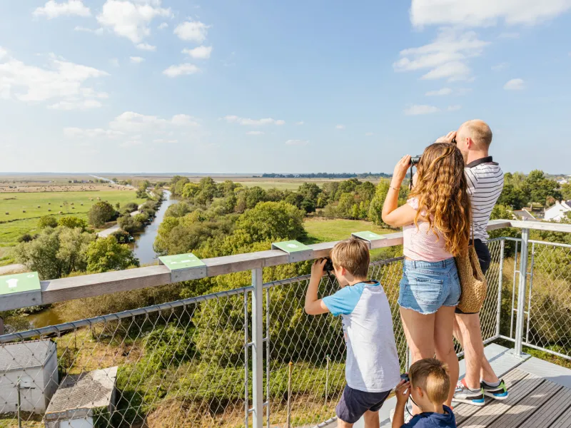 Parc Naturel Régional de Brière