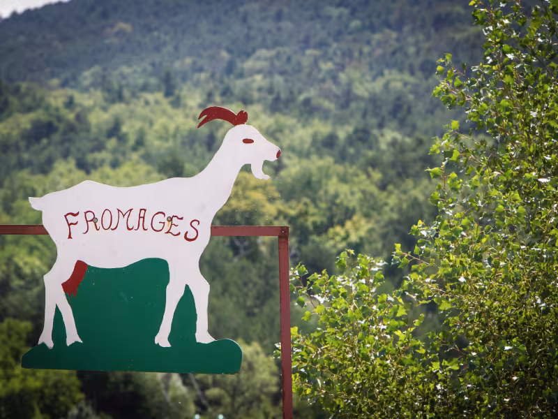 Fromage de chèvre incontournable du Diois