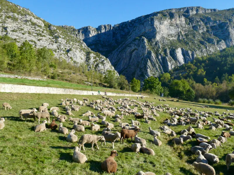 La Clue de Saint-Auban