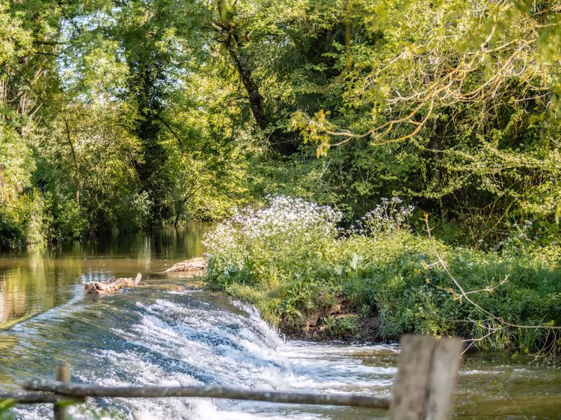 Rivière à Chazelles