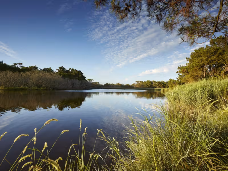 Marais de Mousterlin