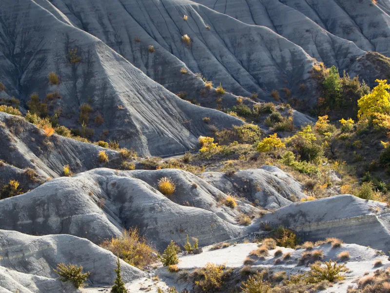 Marnes typiques des Baronnies 