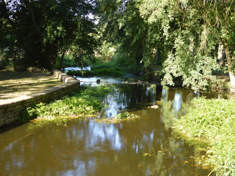 "La Torserie" à Mazières-sur-Béronne