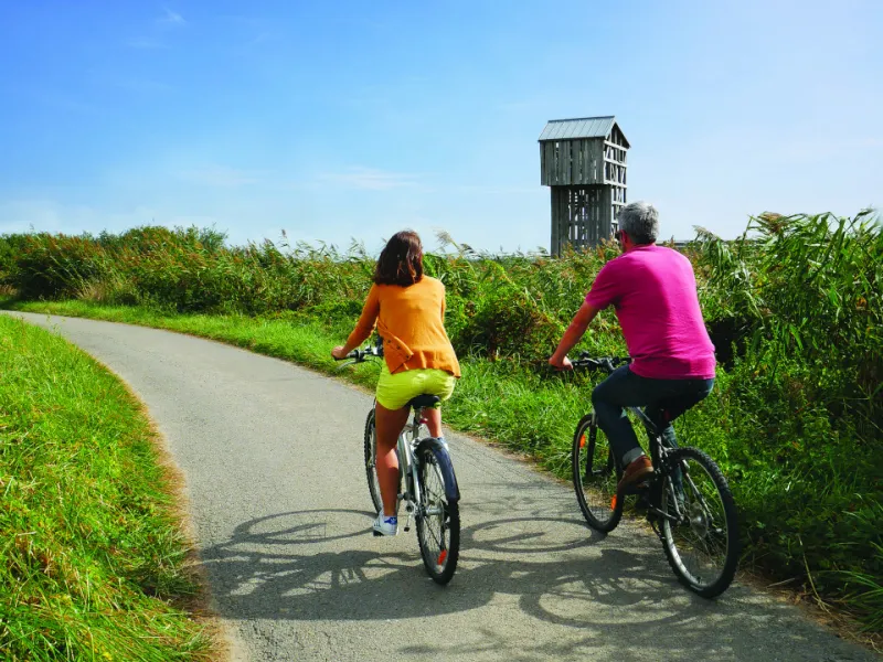 Parcours Estuaire - Observatoire Kawamata