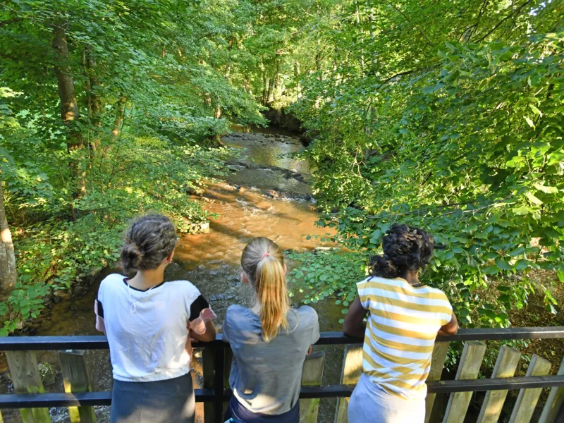 Parcours santé de Bourg Argental