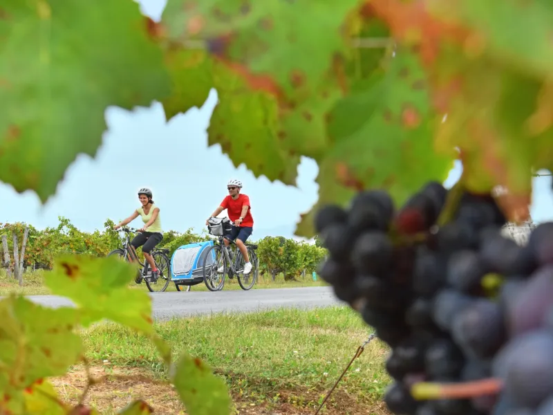 Balade vélo dans le vignoble vers St Hilaire St Mesmin