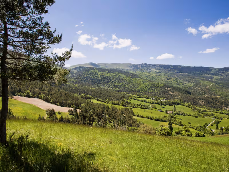 Sur les hauteurs de Valdrôme