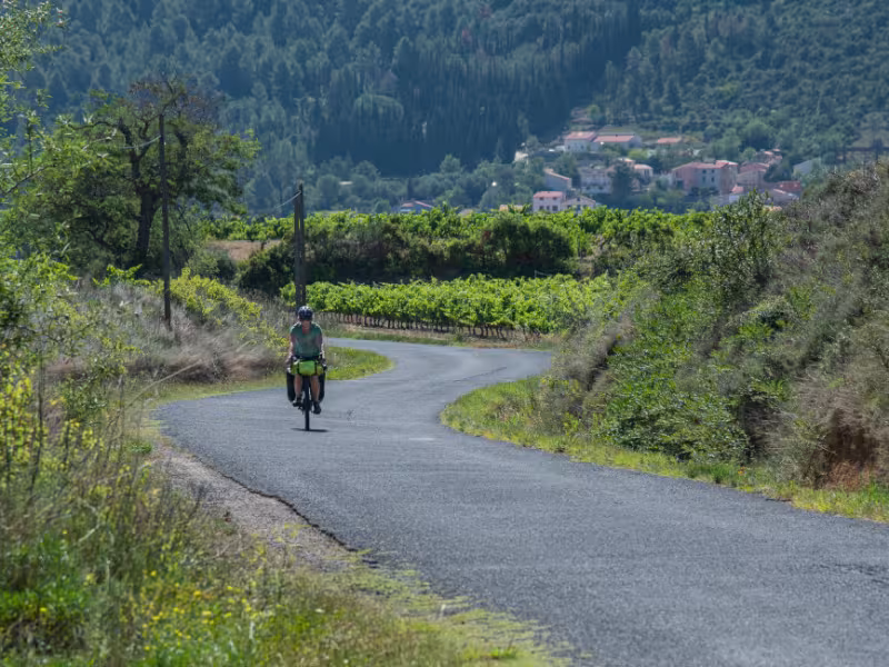 Entre montagnes et vignobles à Tautavel